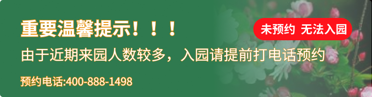 九华山大愿陵园